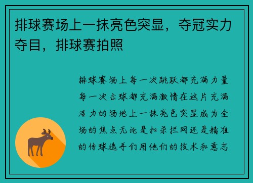 排球赛场上一抹亮色突显，夺冠实力夺目，排球赛拍照